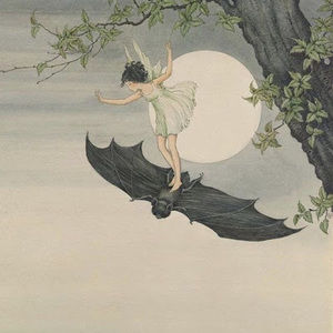 Meet your Posher, Zara